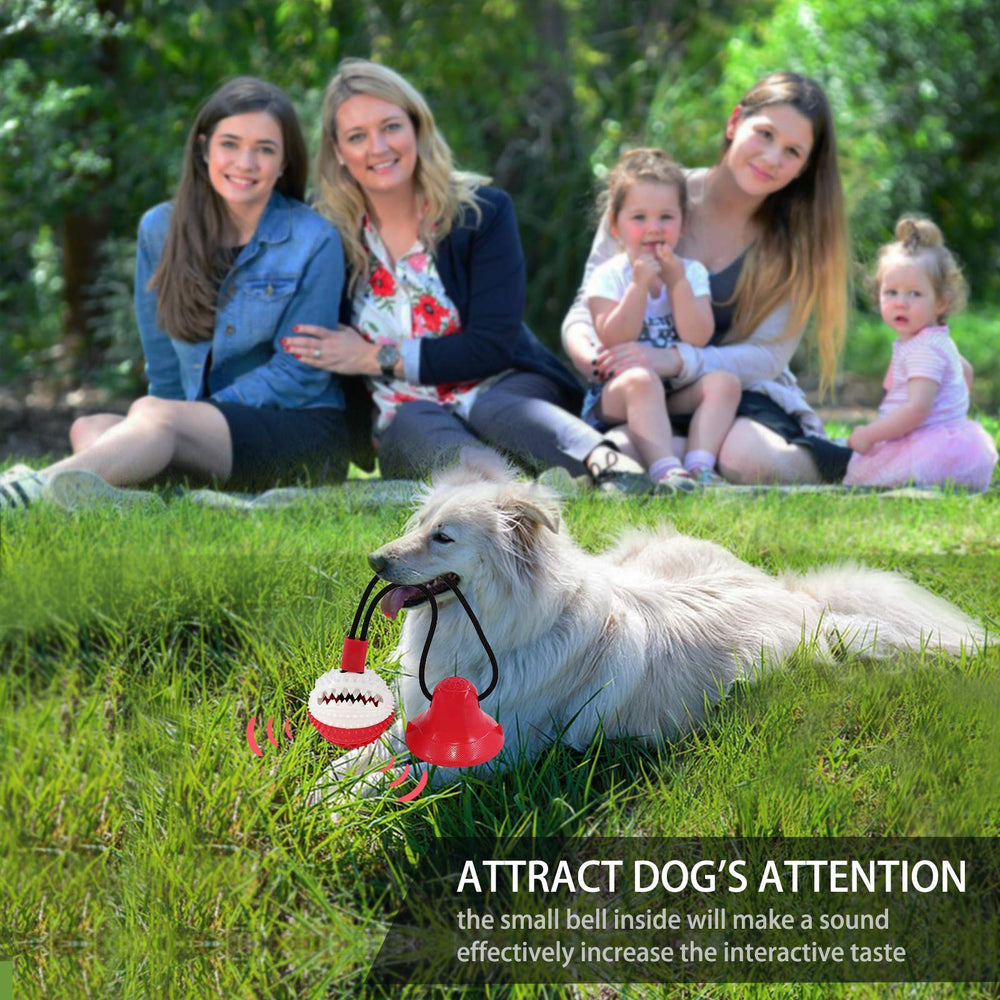 Askhald Juego rompecabezas para perros, fomenta inteligencia y distracción positiva.