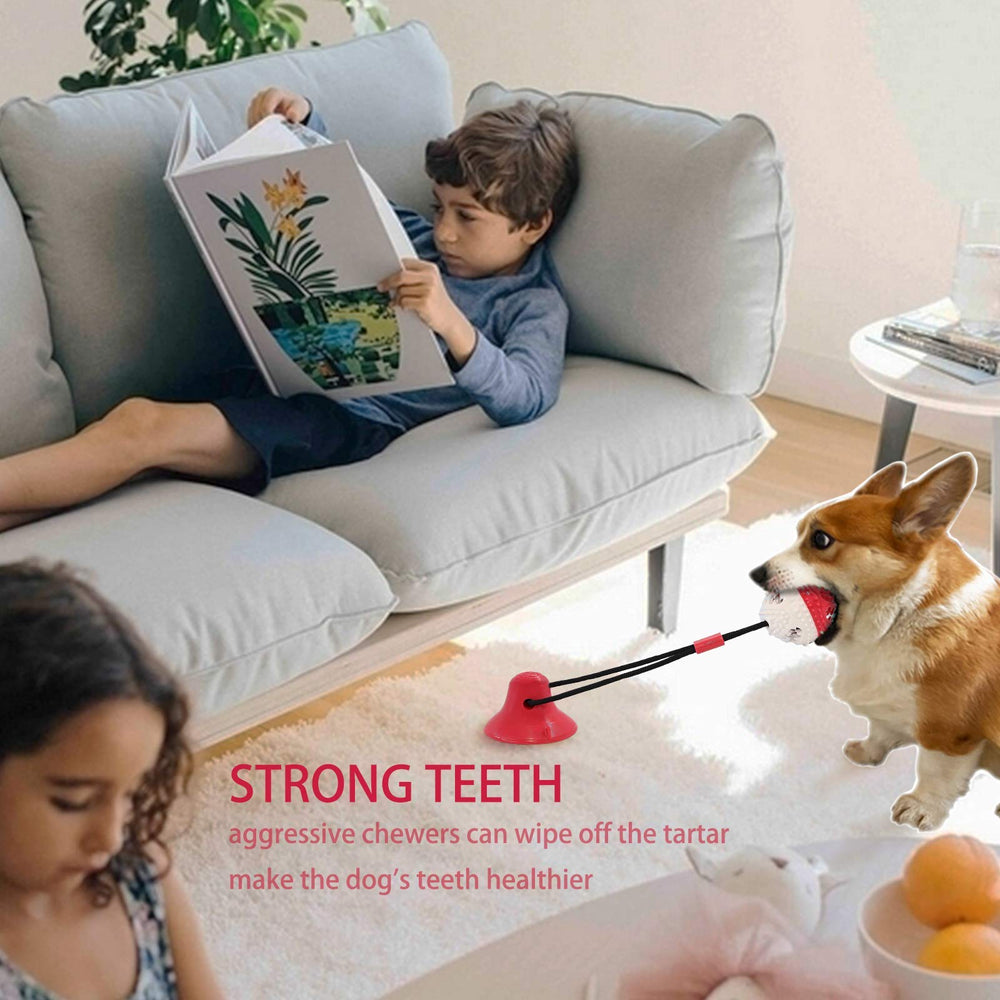 Askhald Juguete interactivo con campana, atrae al perro y aumenta la diversión durante la sesión.