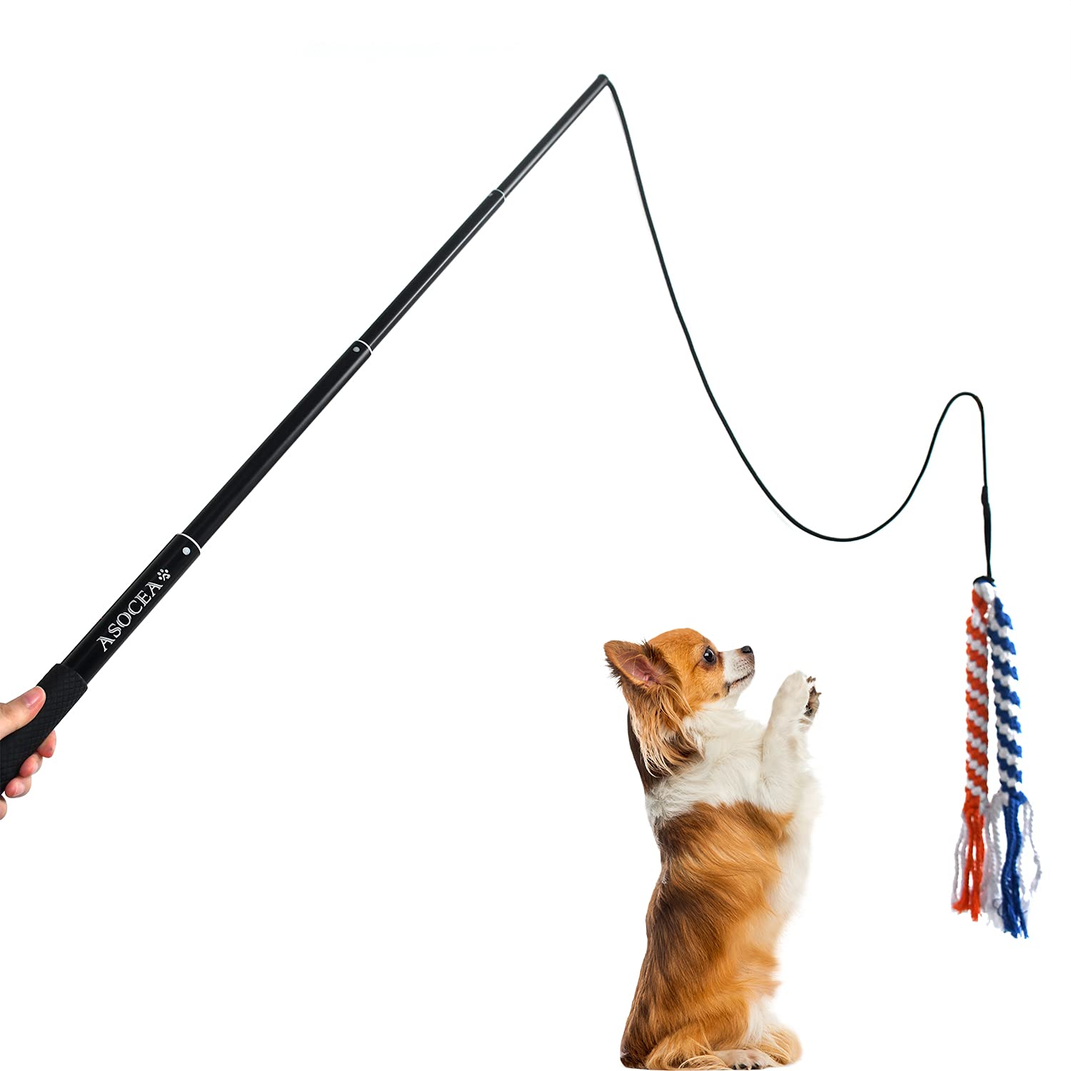 Juguete de entrenamiento ASOCEA para perros de todos tamaños