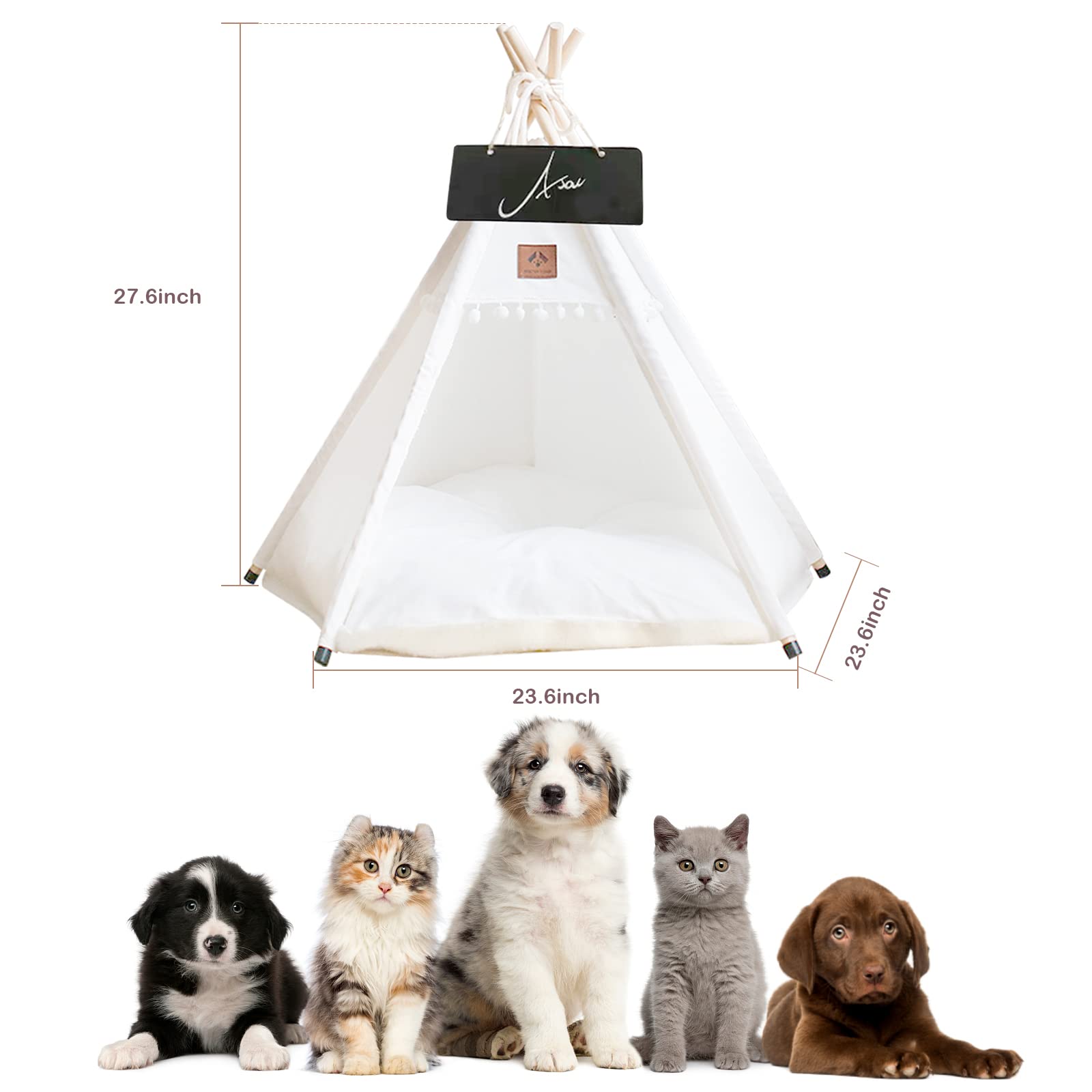 Asou Tipi para Mascotas: tamaño compacto para perros, gatos o conejos.