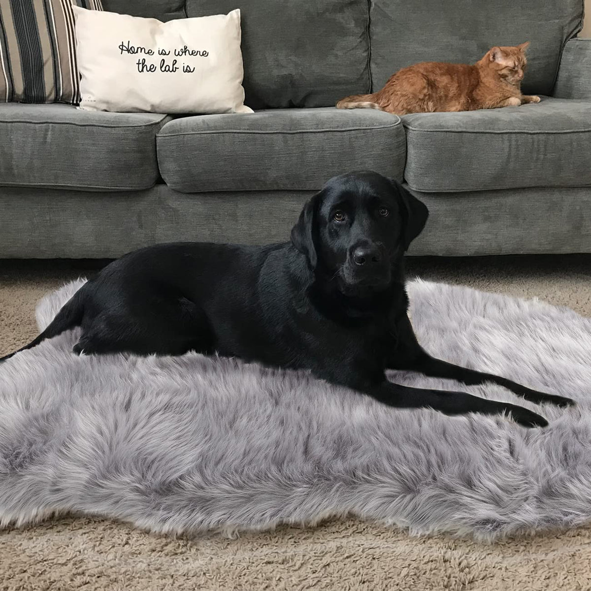 Asrug Alfombra de pelo artificial para mascotas, suave y lujosa para el salón.