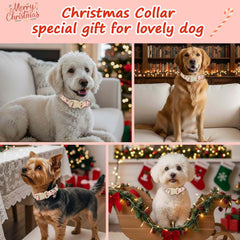 Astdogio collar ajustable XS para perro pequeño, ajuste cómodo durante paseos.