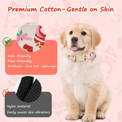 Astdogio collar costura suave, bordes lisos para evitar roces.