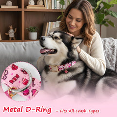 Astdogio collar diseño corazones rosa, añade dulzura a paseos y salidas.