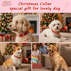 Astdogio collar navideño para perros en acción, perfecto para paseos festivos.
