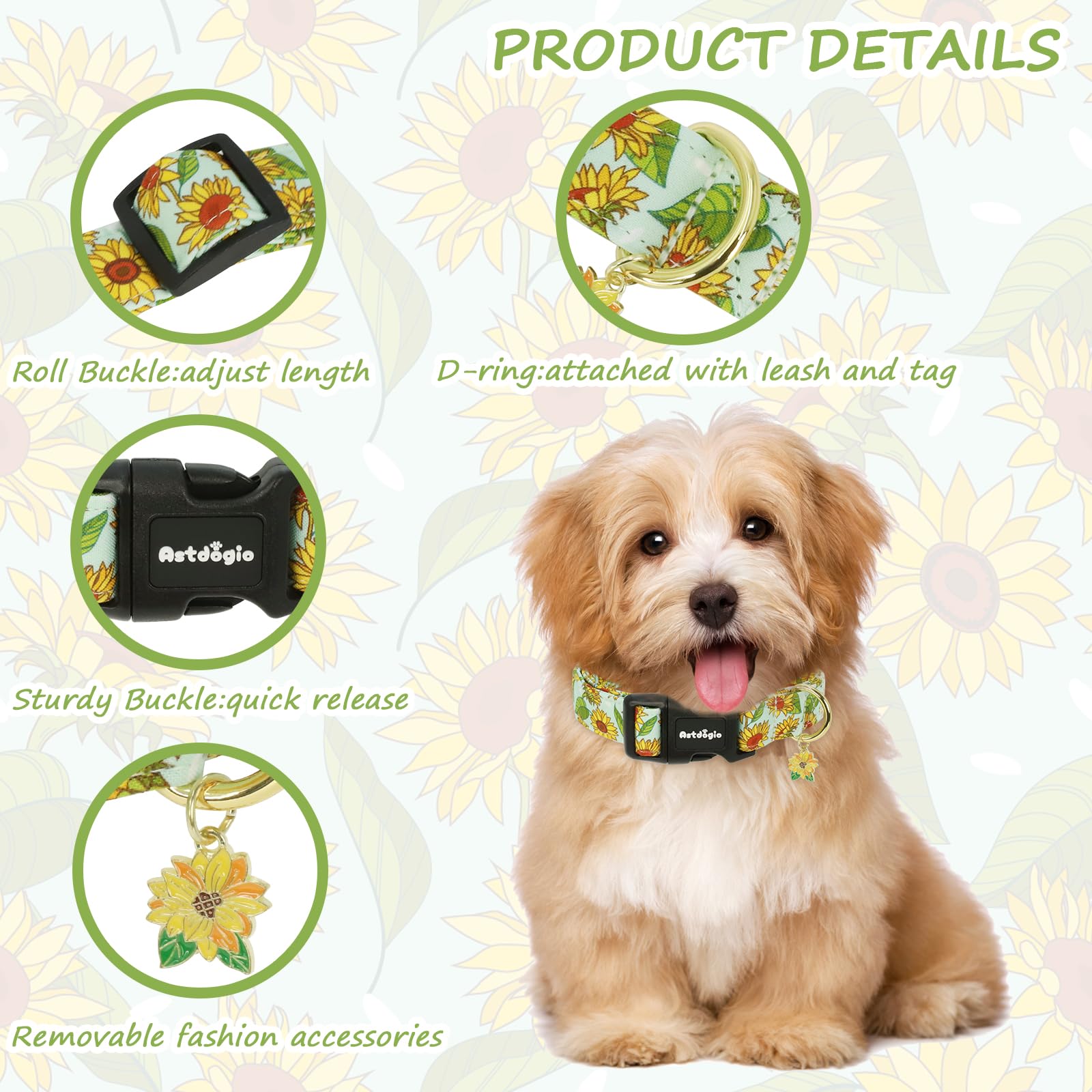 Collar Astdogio con anilla en D y ajuste deslizante para seguridad.