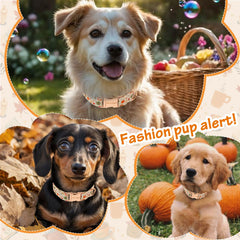 Astdogio collar perro casas pequeñas: mirada cariñosa durante paseos y visitas a cafés