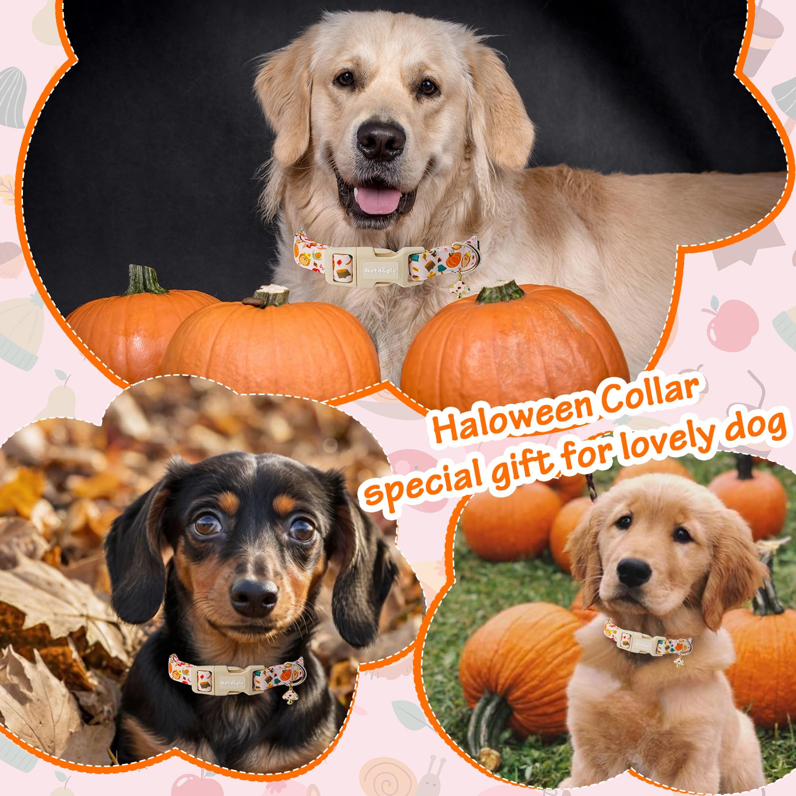 Collar Astdogio de Halloween con diseño murciélagos y calabazas para fotos