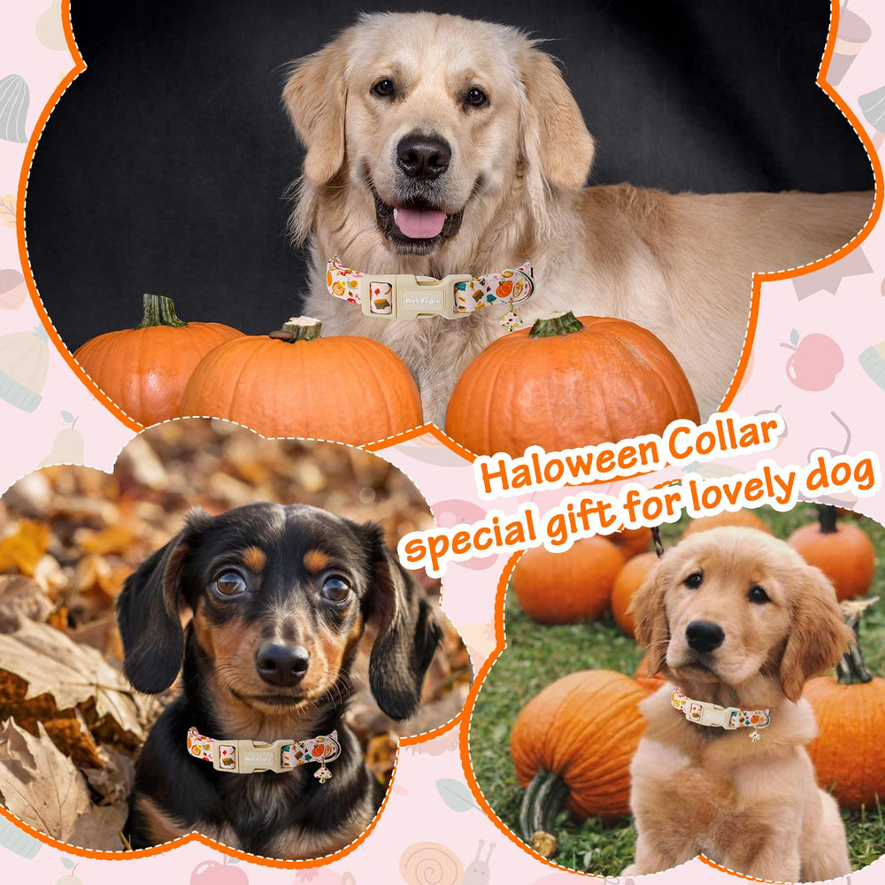 Collar Astdogio de Halloween con diseño murciélagos y calabazas para fotos