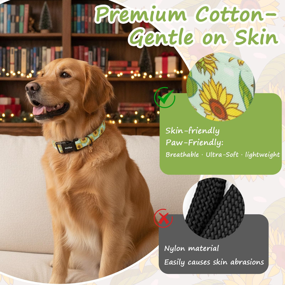 Collar Astdogio con hebilla rápida, ideal para paseos.
