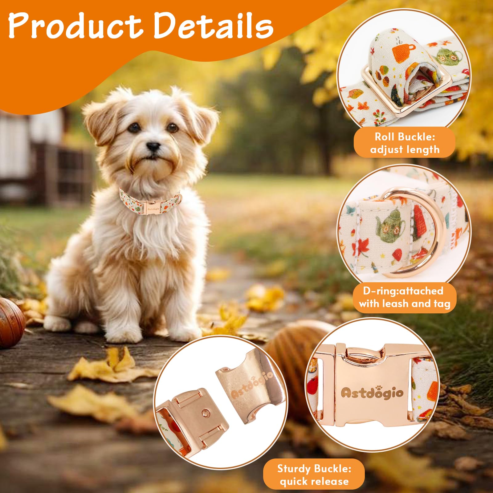 Astdogio collar perro pasteles: toque adorable para días de paseo y fotos