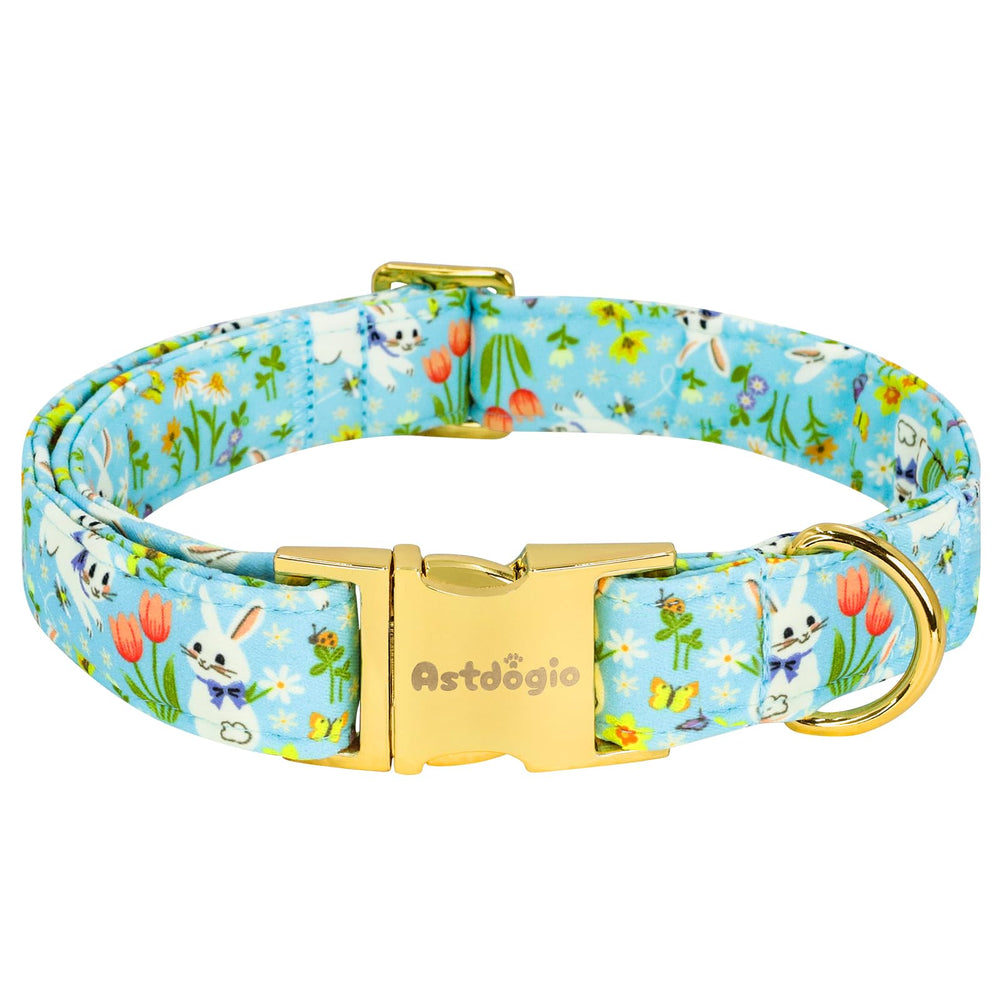 Collar Astdogio para perros pequeños con conejito blanco en azul, ideal para fotos de Pascua.