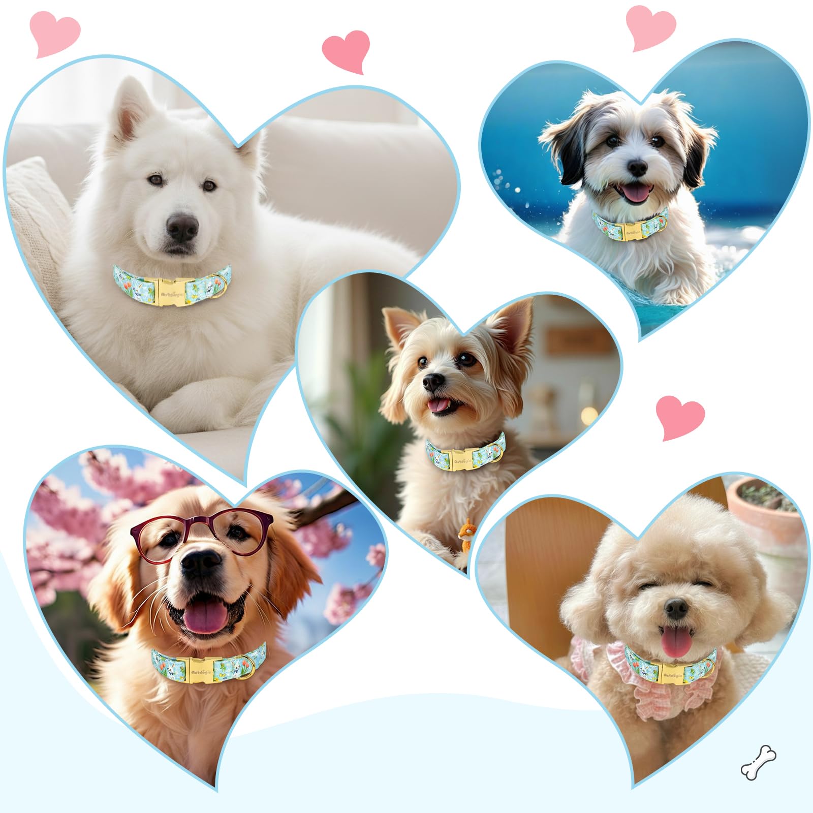 Regalo ideal Astdogio para dueños de perros en primavera.