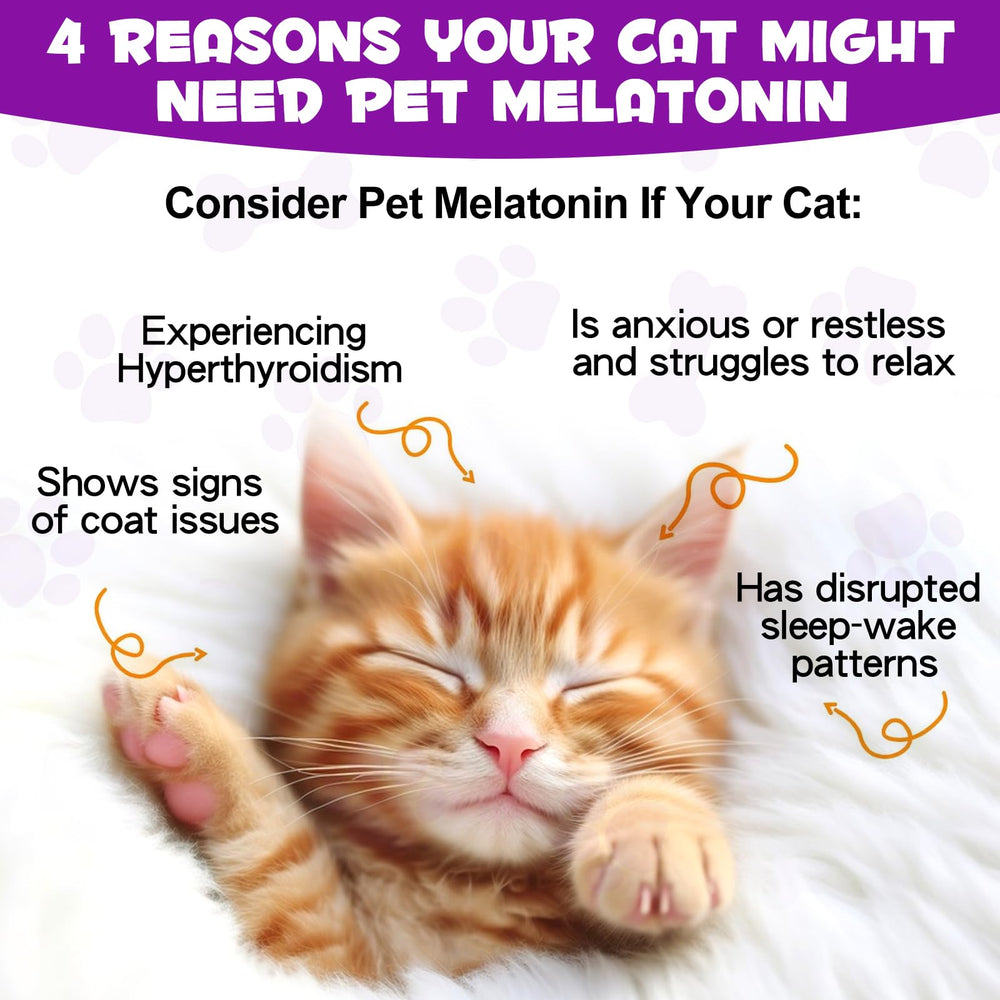 Asusxcli Melatonina para Gatos: ideal para sesiones de grooming sin estrés.