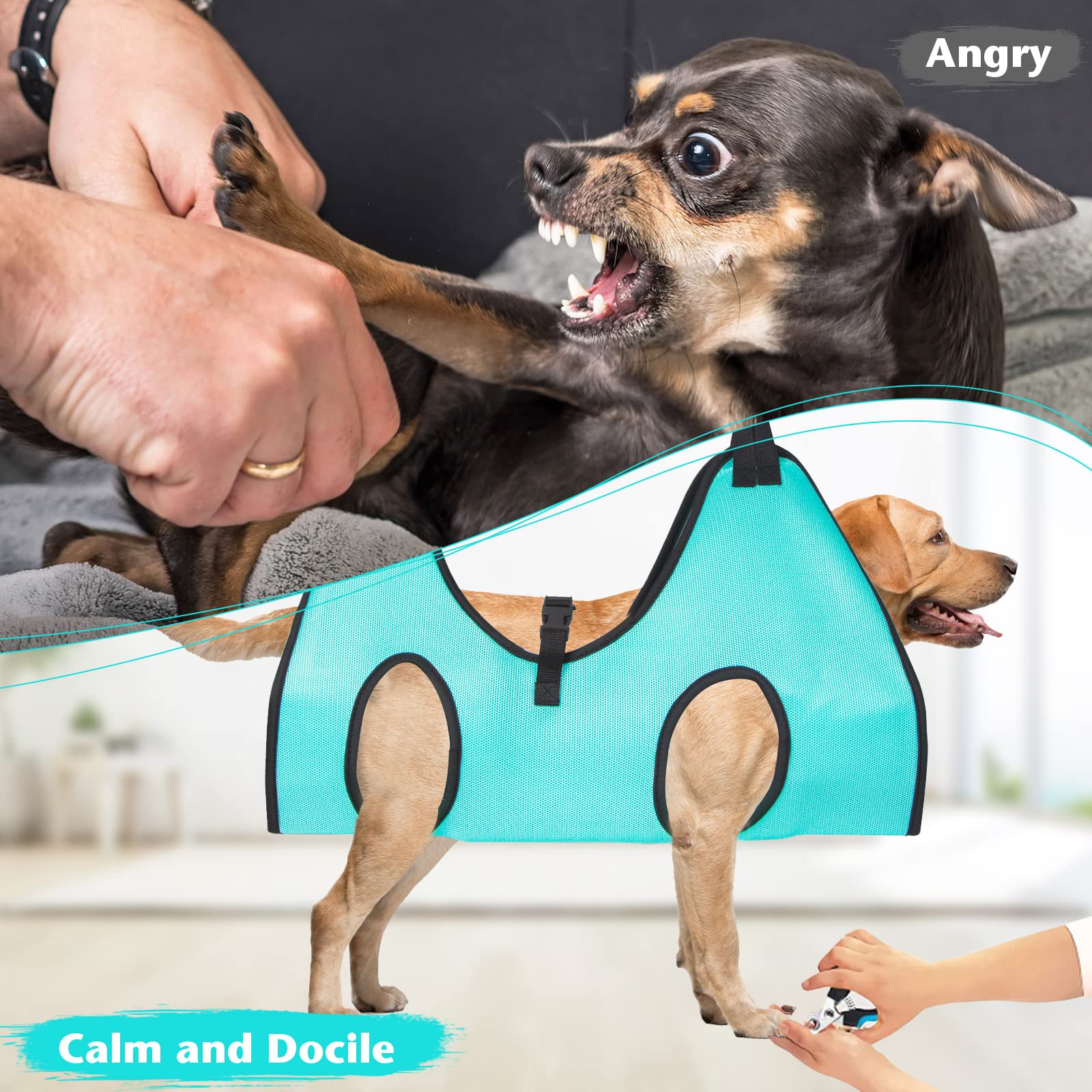 ATESON cuidado casero para perros ahorra tiempo y mantiene la rutina