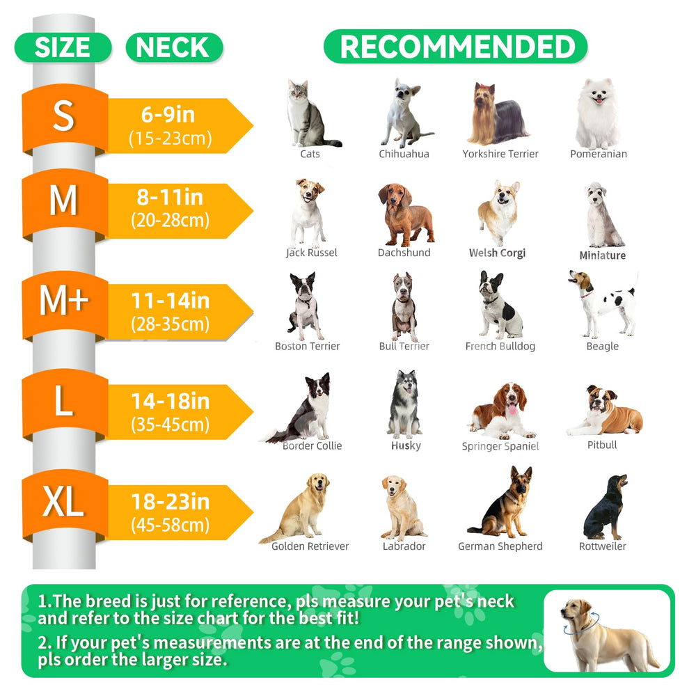 AThooDel collar inflable tamaño M en color lima ofrece ajuste cómodo para perros medianos y grandes