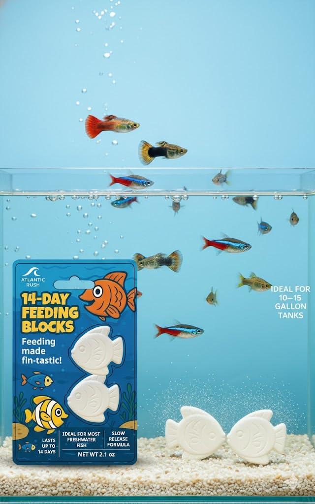 Atlantic Rush control del exceso de alimentación en acuarios pequeños