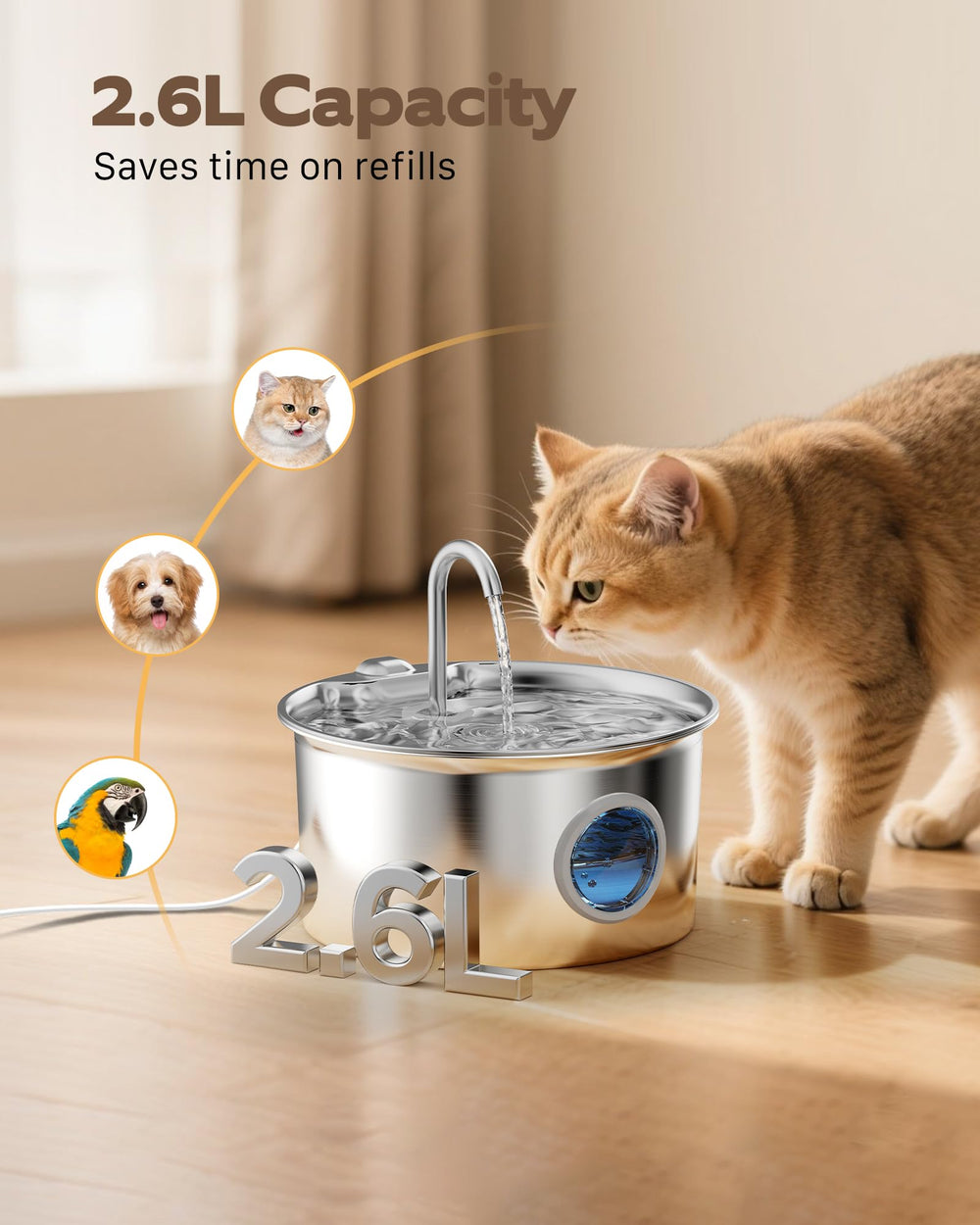 ATMZIQXR bebedero gatos 6 filtros 3 esponjas, agua más limpia.