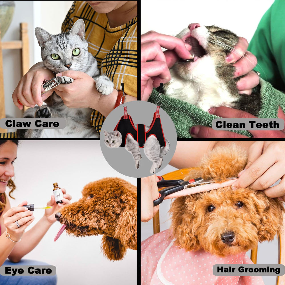 Capacidad de hasta 25 libras, apto para mascotas pequeñas.