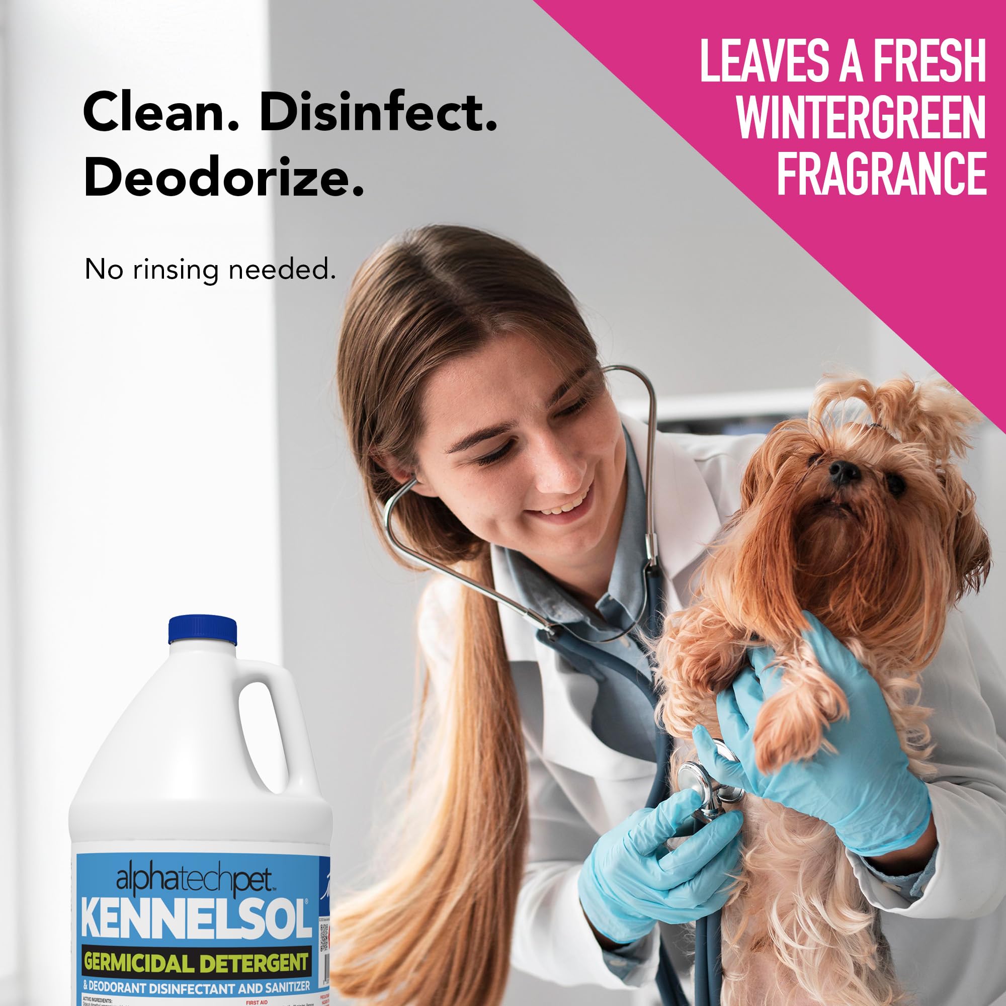 Desinfeccion en kennel con KennelSol, adecuado para pisos y accesorios.
