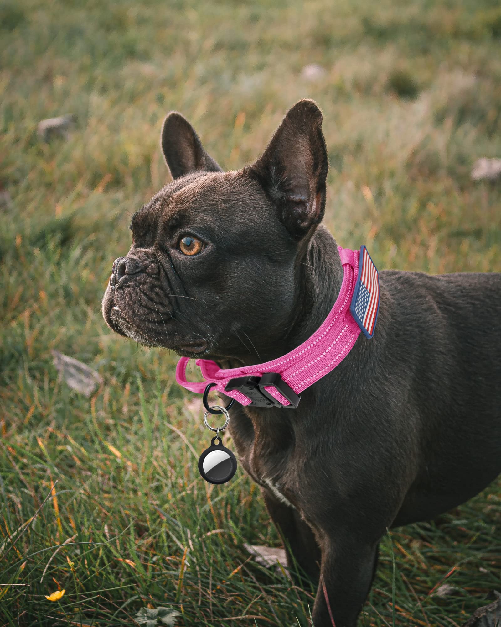 AUBELL collar con mango de control para entrenamiento y guía rápida