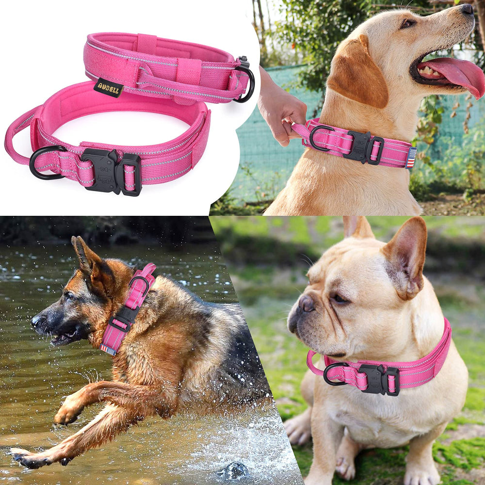 Collar táctico AUBELL en acción para perros grandes durante paseo.