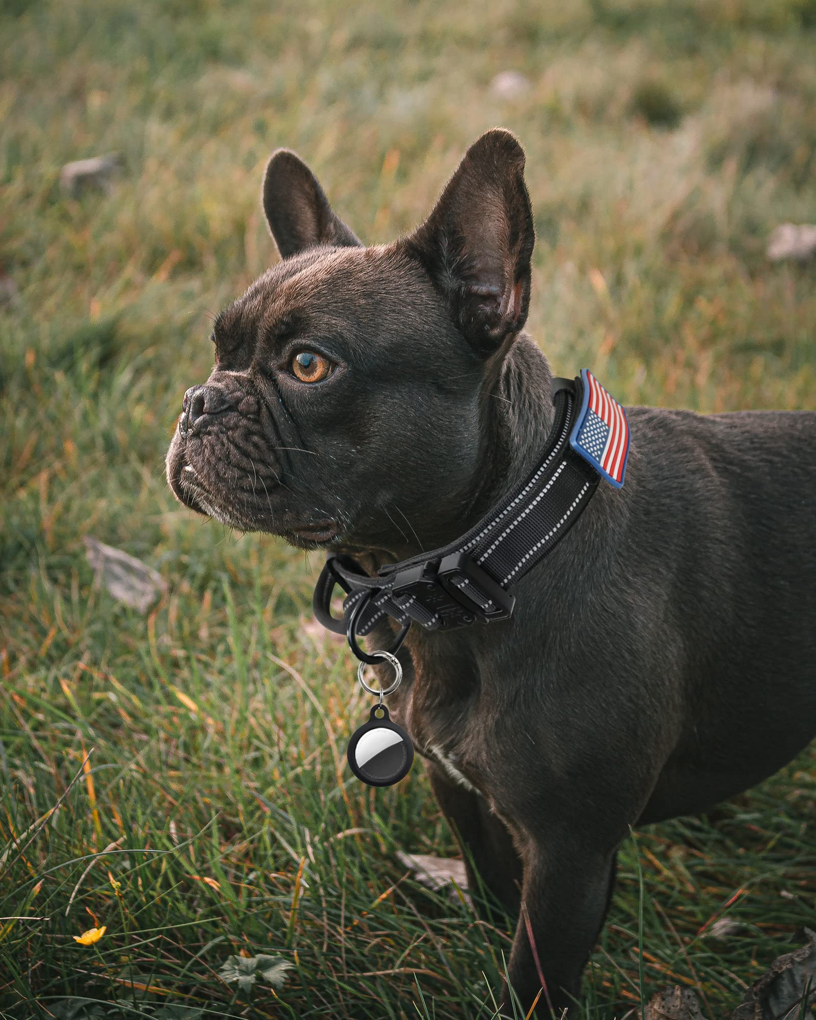 AUBELL collar táctico, hebilla de metal y liberación rápida para ajuste seguro