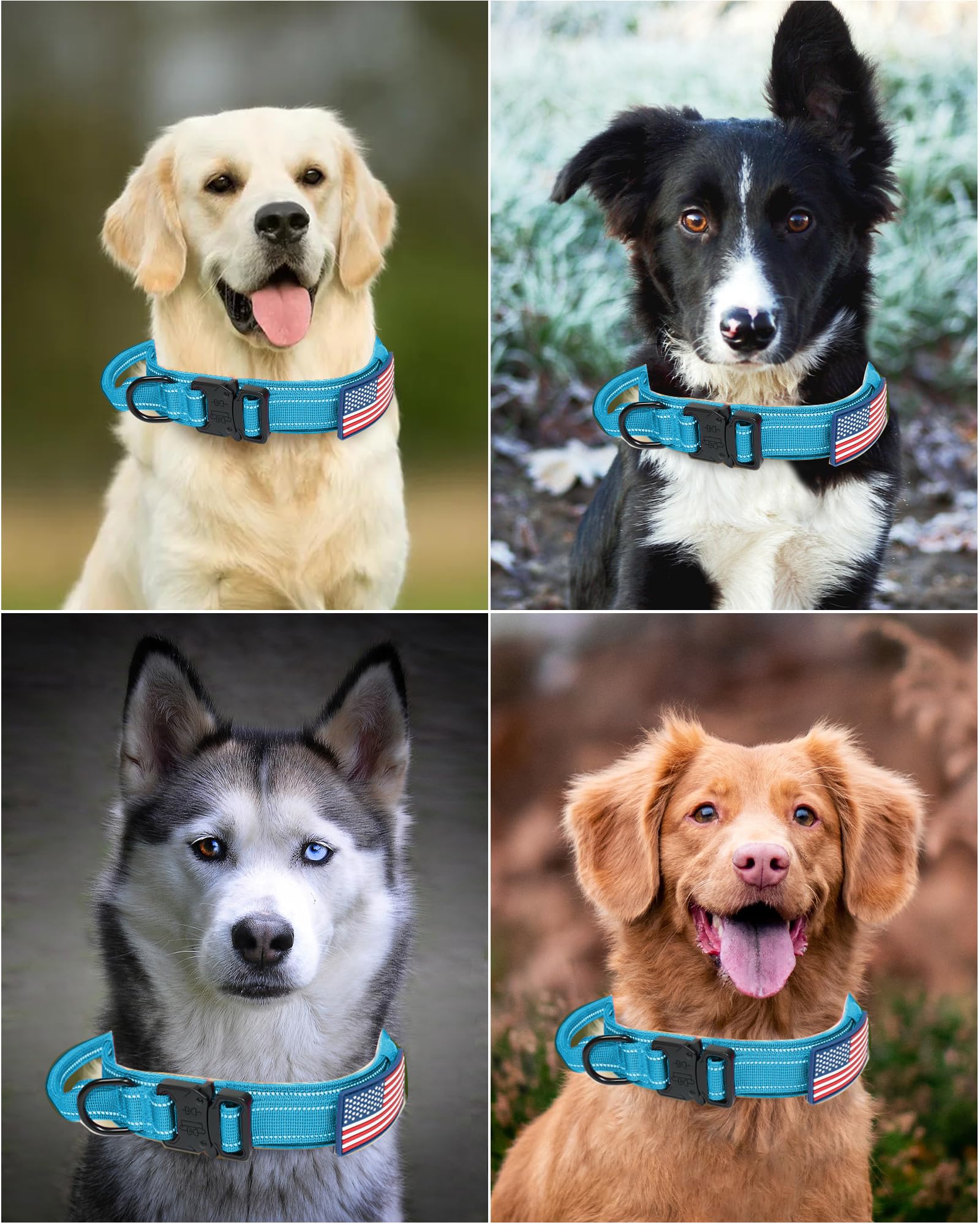 Collar táctico AUBELL de alta resistencia para perros activos.