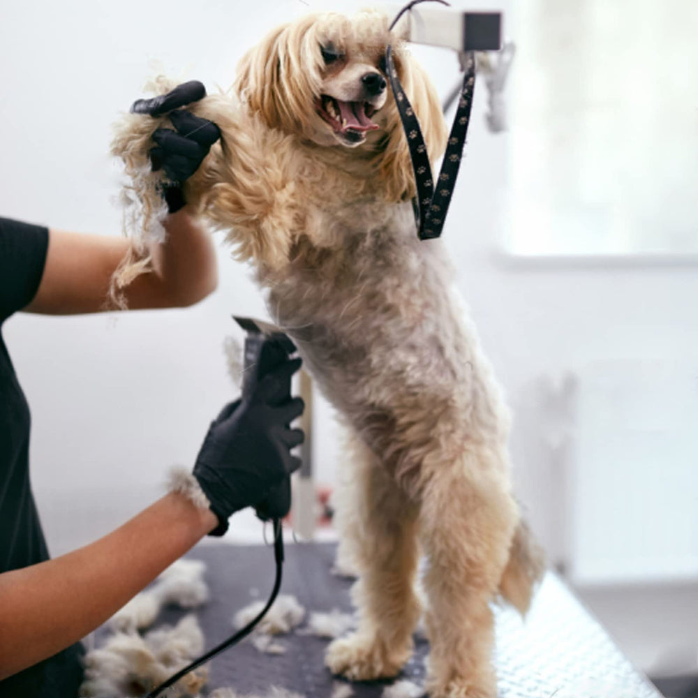Audoc corte suave y bajo ruido: experiencia agradable para mascotas y dueño.