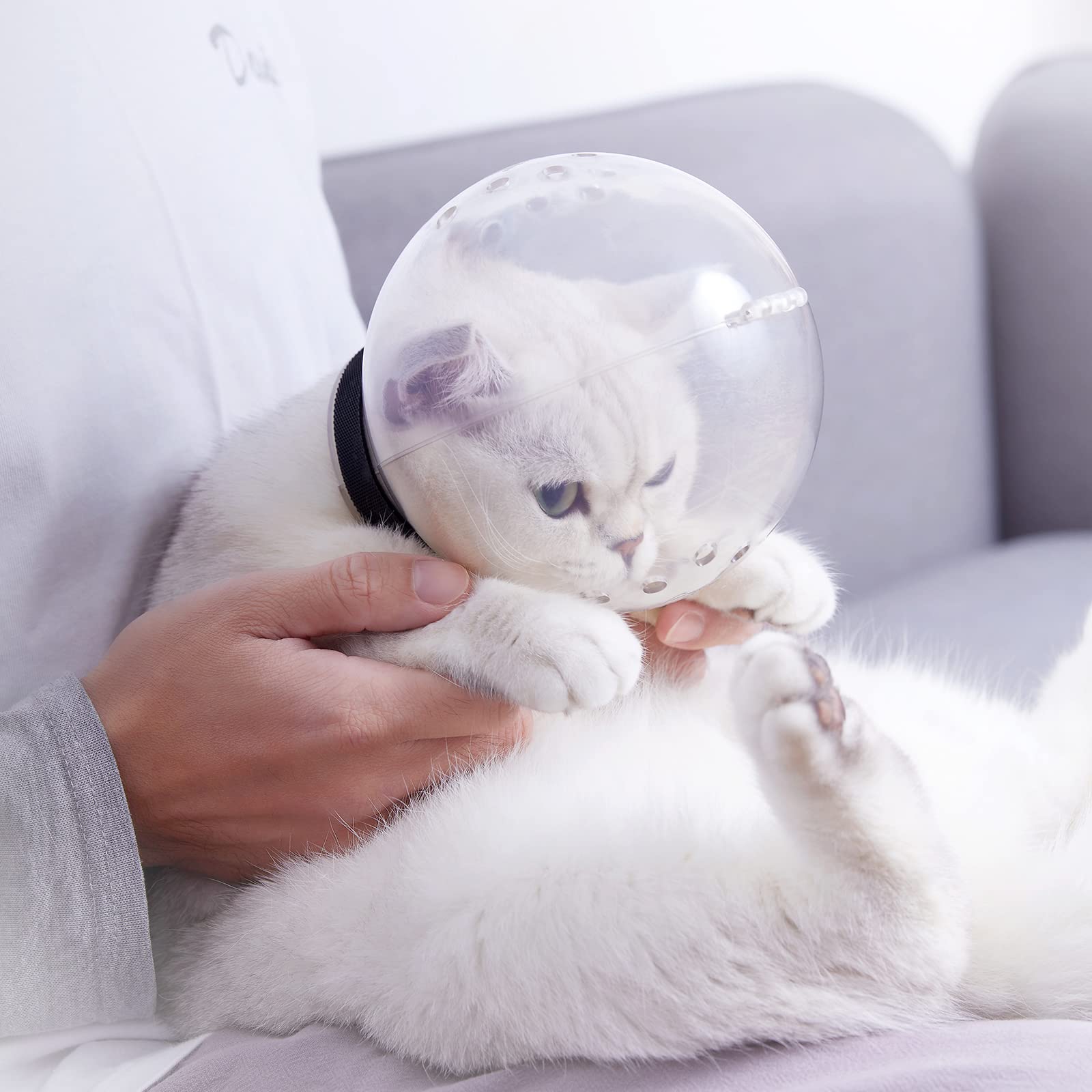 Augegel conjunto de cuidado para gatos durante visitas y baño