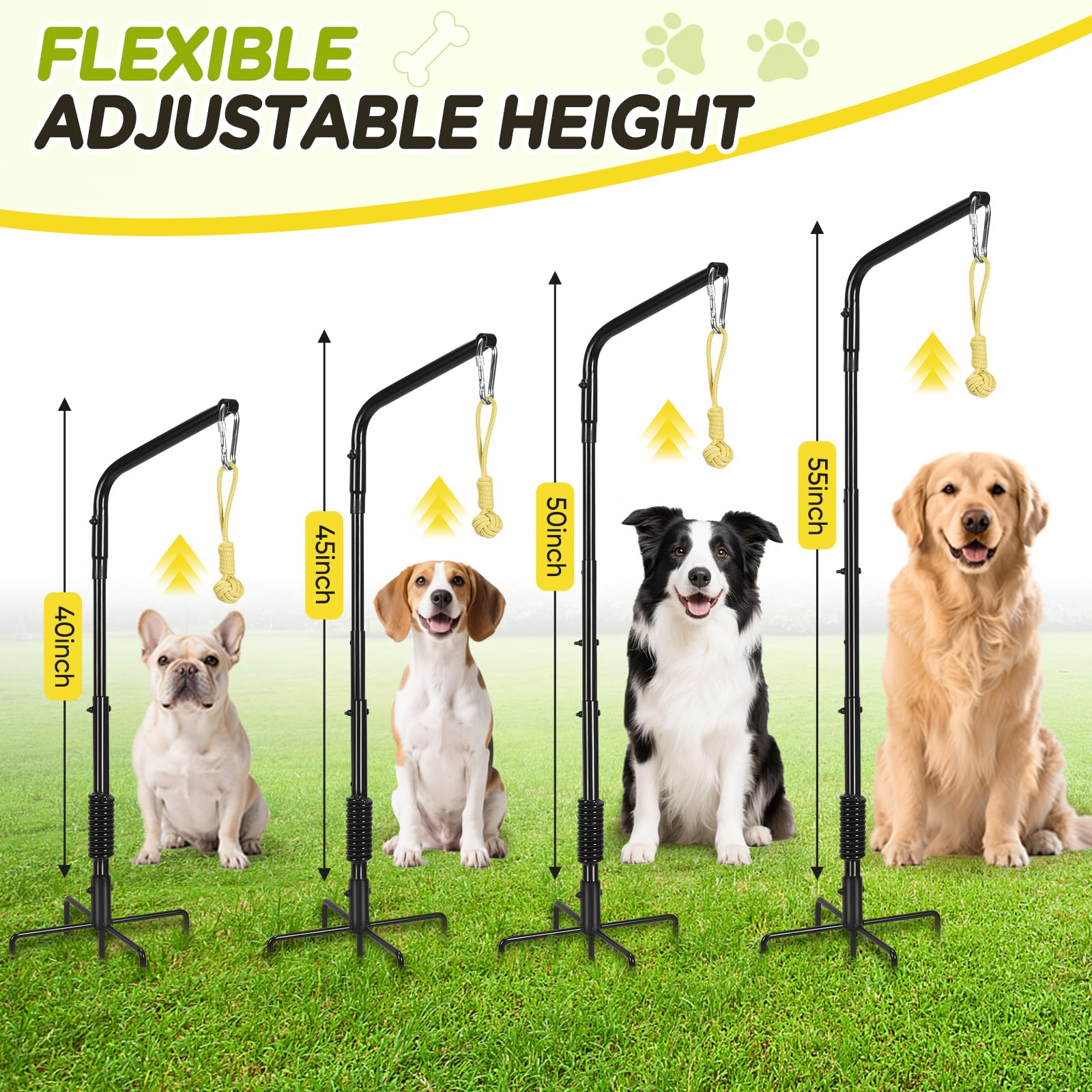 AugFir Altura-ajustable ideal para perros de diferentes tamaños y estilos de juego