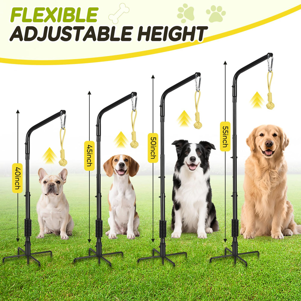 AugFir Altura-ajustable ideal para perros de diferentes tamaños y estilos de juego
