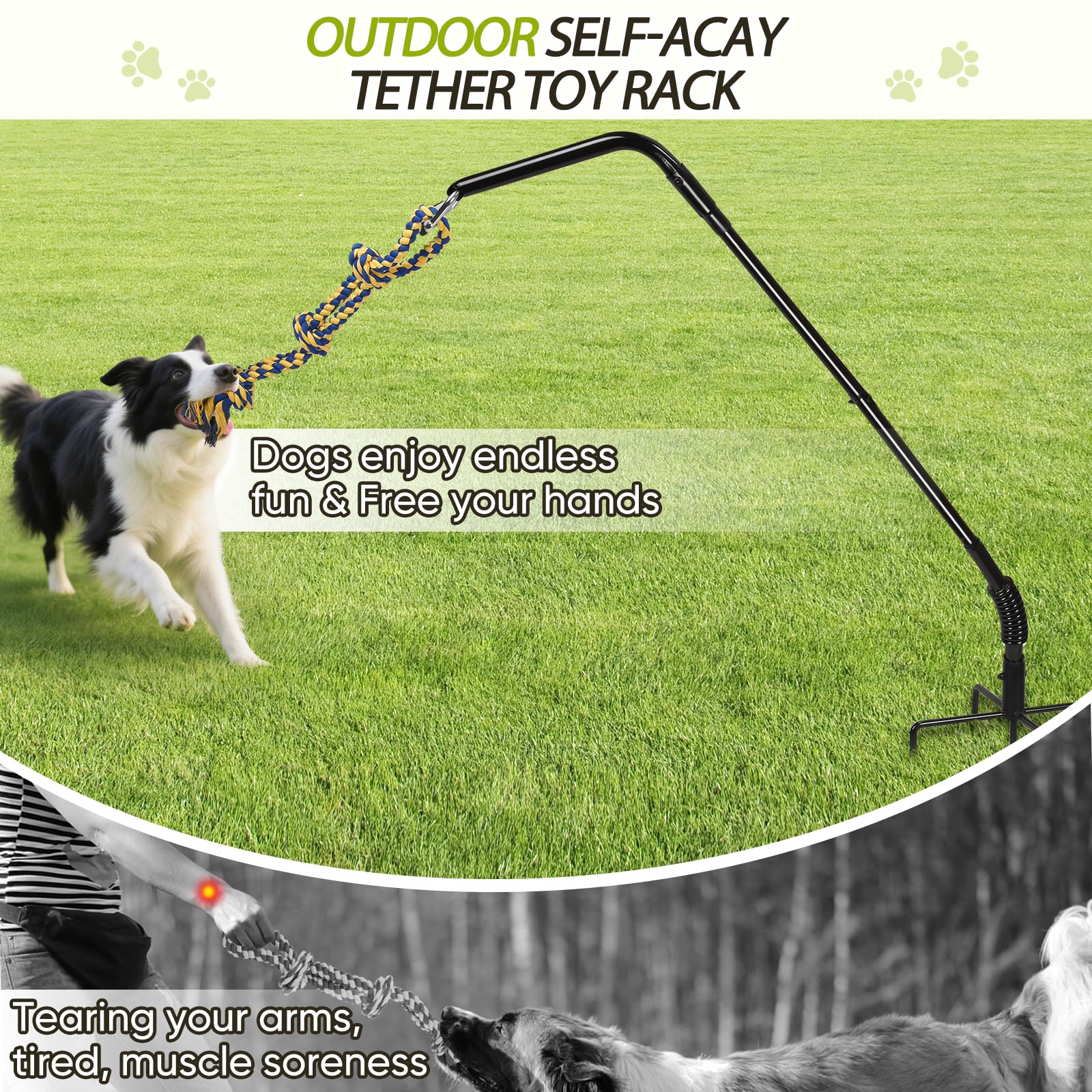 AugFir Tres-juguetes-de-tira para perro fomenta ejercicio y juego interactivo