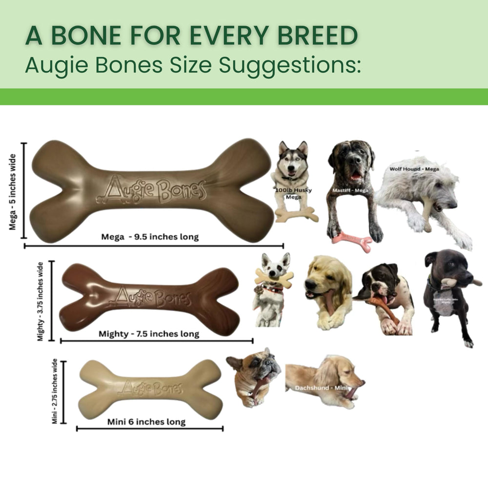 Augie Bones sabor maní tostado, ideal para perros activos