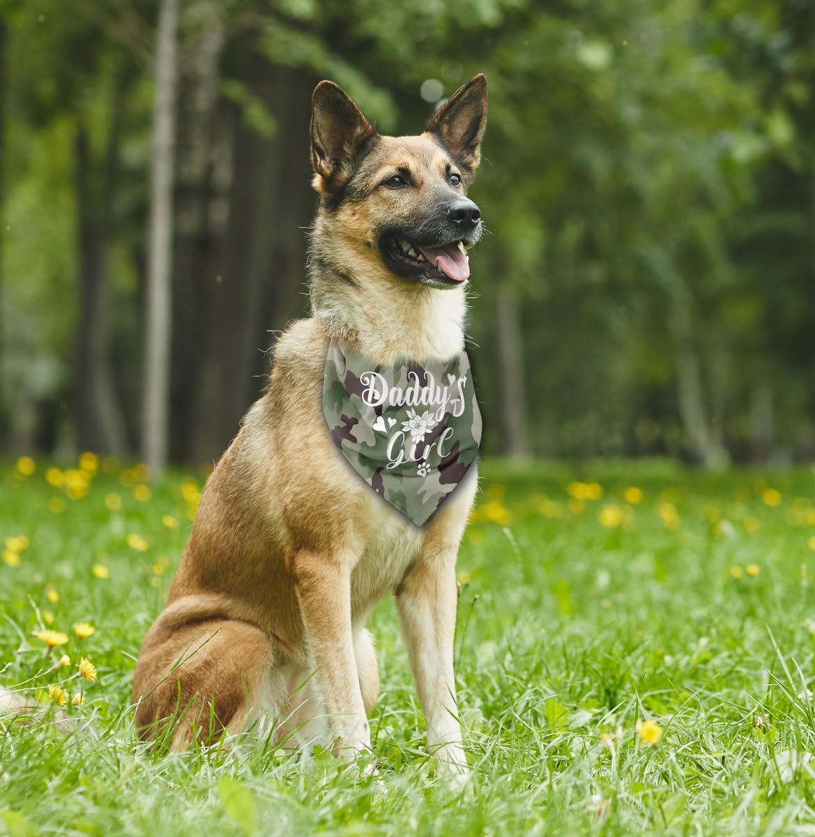 Bandana AUII JO DESIGN para perro, ideal para días de juego, cómodo y ligero