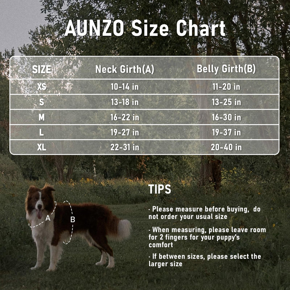 AUNZO, talla mediana adecuada para razas como Bulldog Francés