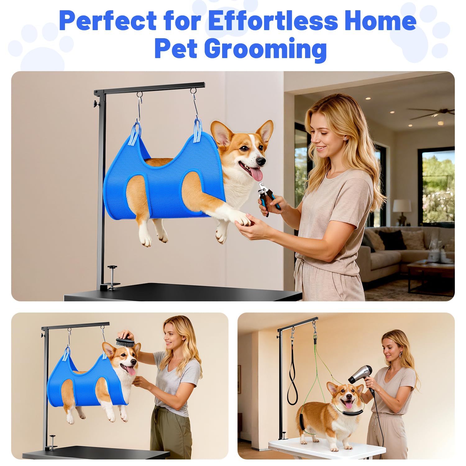 AUORC conjunto de cuidado para perros, ideal para sesiones de grooming eficientes