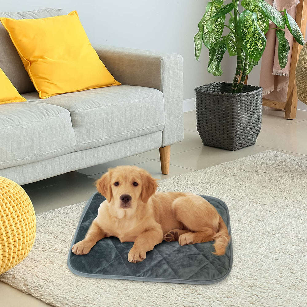 AUPETEK ideal para jaulas y transportines de mascotas
