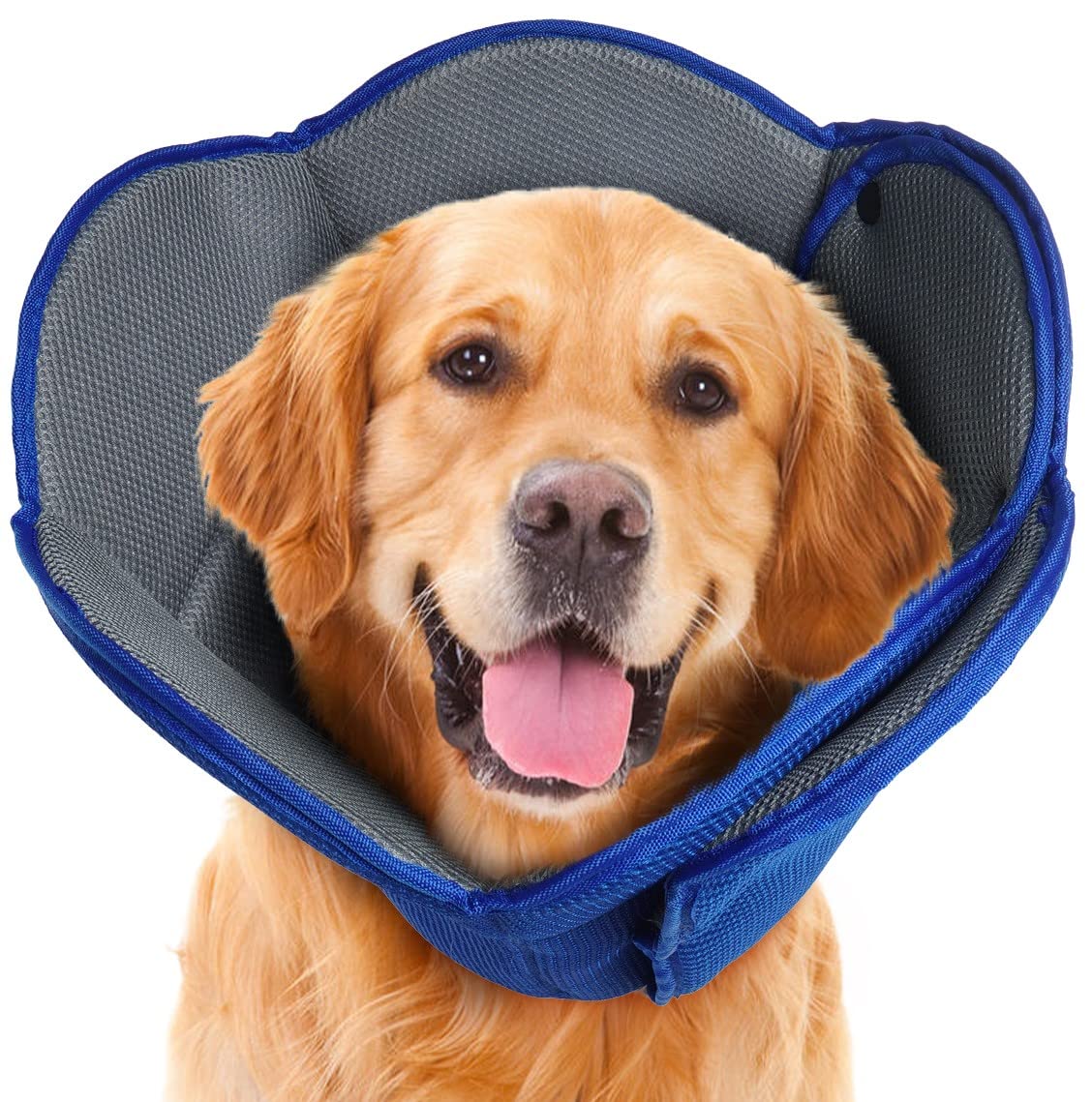 AuraPaw cono suave con material transpirable para recuperación sin molestias.