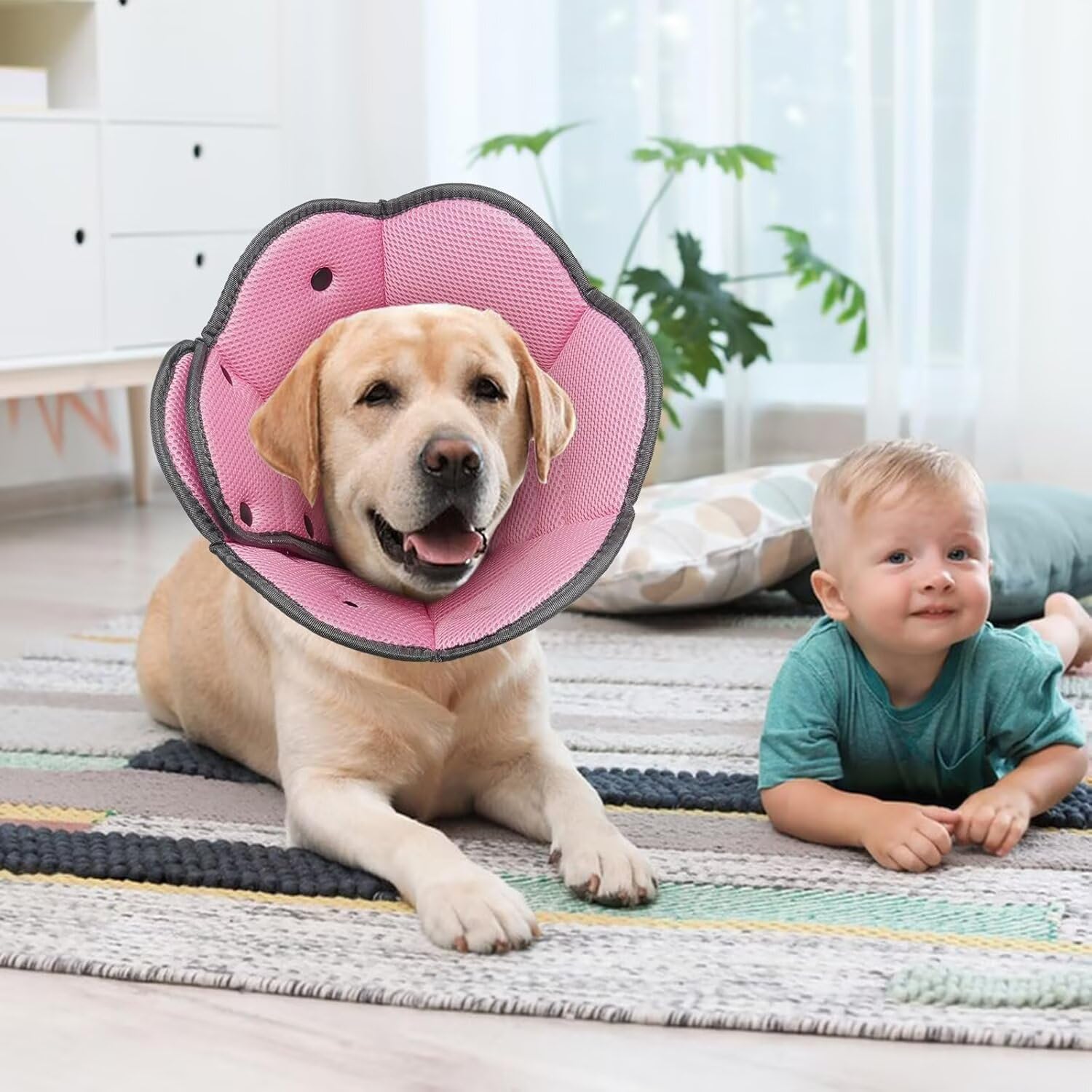 AuraPaw acabado-rosado-delicado aporta un aspecto suave durante la recuperación.