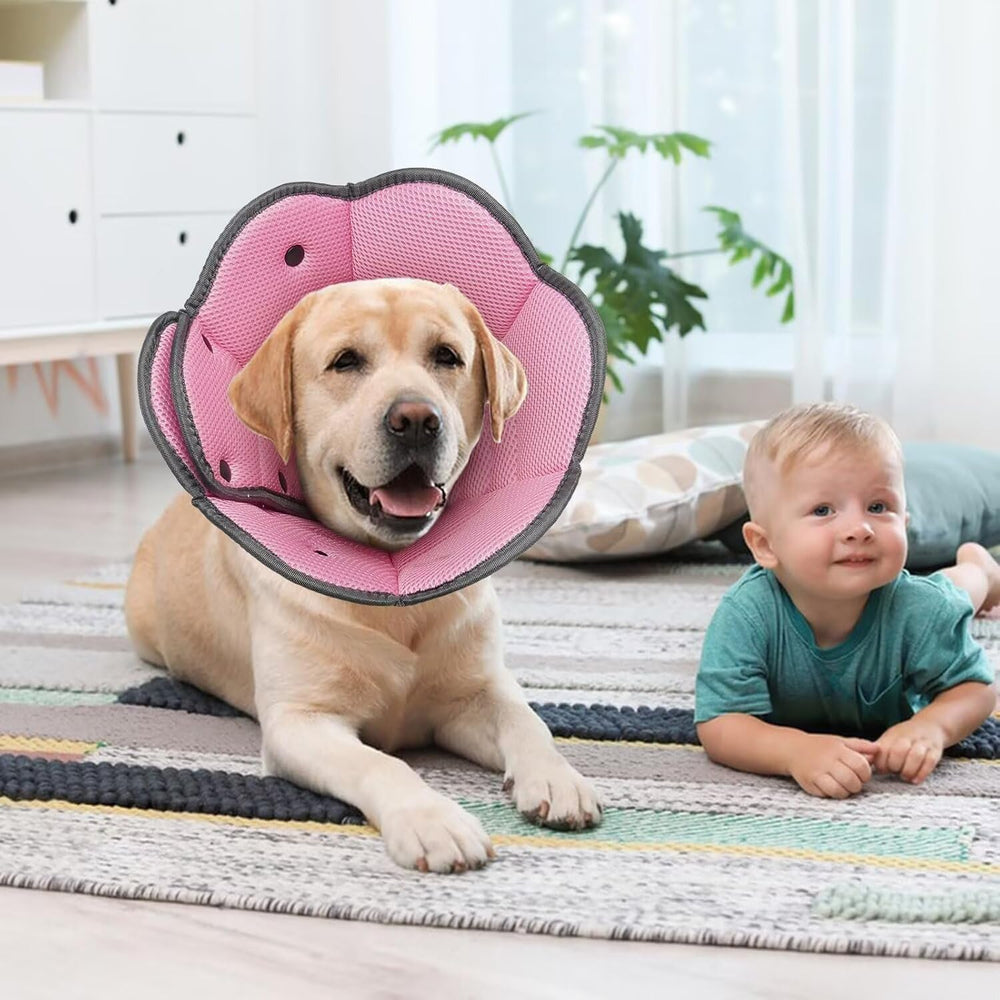 AuraPaw acabado-rosado-delicado aporta un aspecto suave durante la recuperación.
