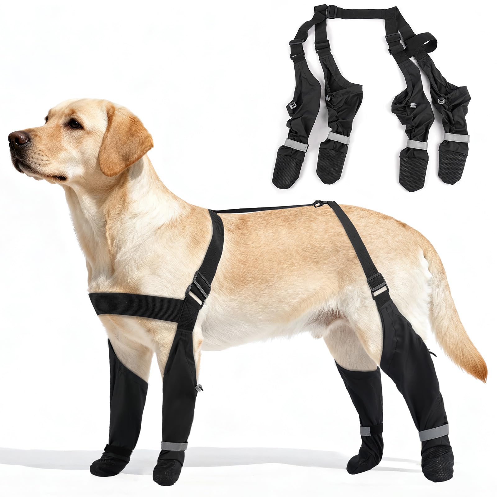 AuraPaw botas exteriores para perro con ajuste seguro para paseos sin perderlas.