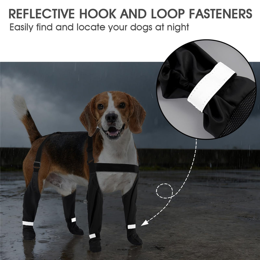 AuraPaw botas reflectivas para perros mejoran la visibilidad nocturna.