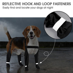 AuraPaw botas reflectivas para perros mejoran la visibilidad nocturna.