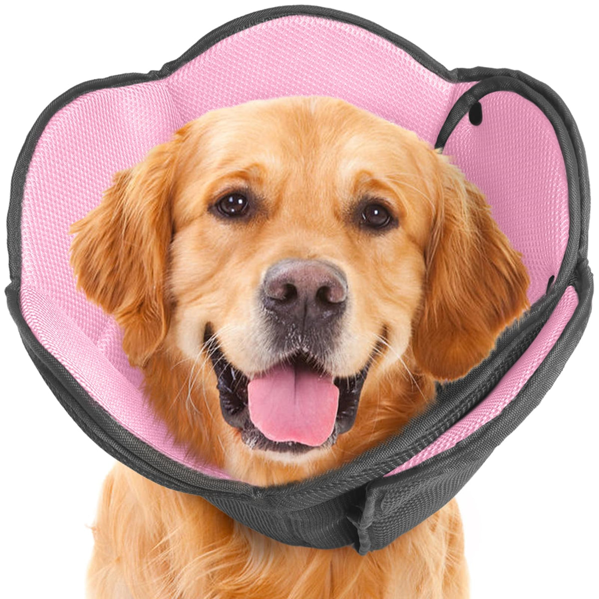 AuraPaw collar recuperación suave en malla transpirable, cómodo para perros