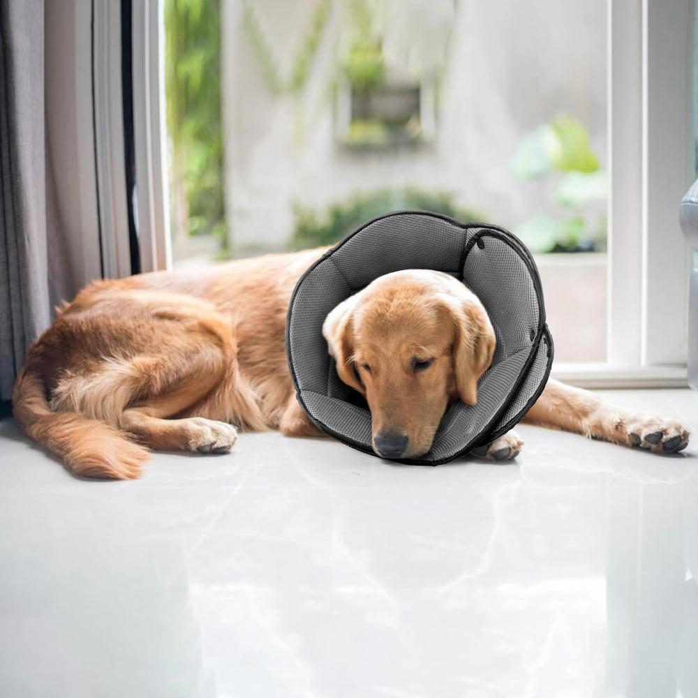AuraPaw Cono fácil de lavar y limpiar tras su uso.