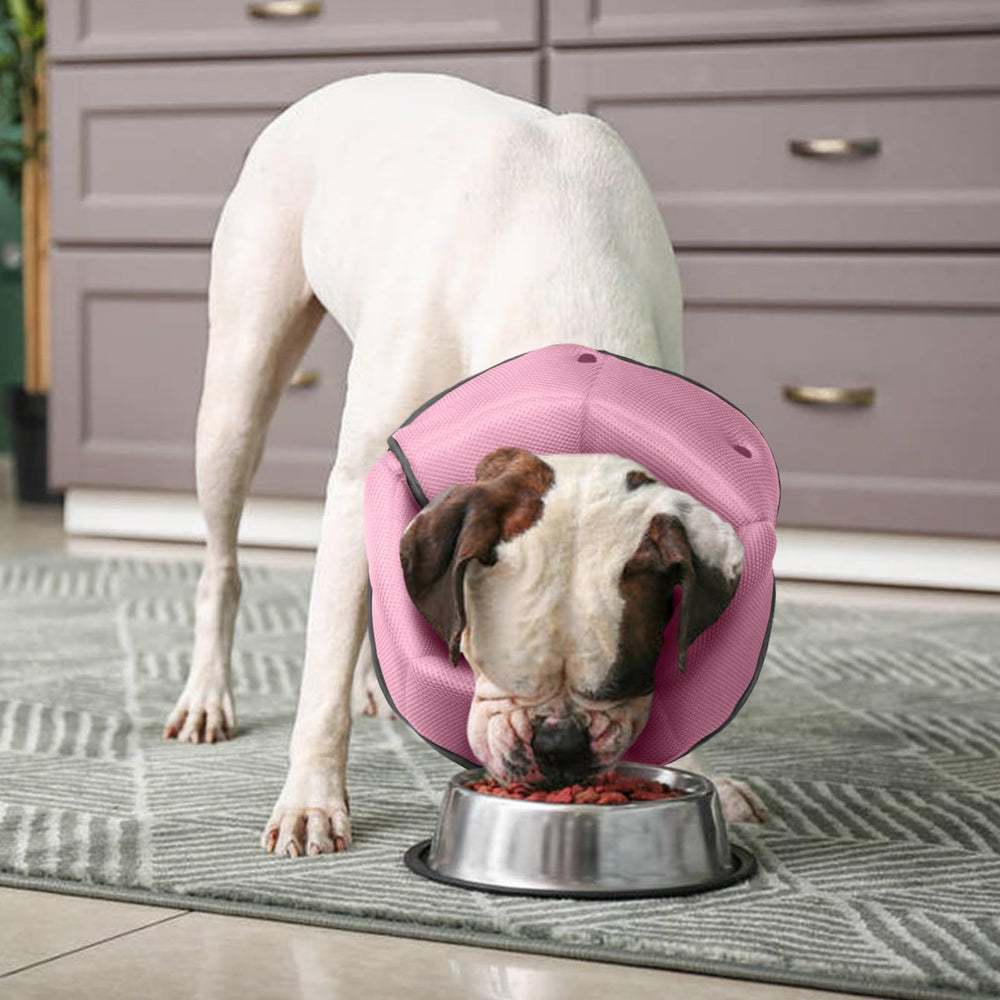 AuraPaw cono-ligero-duradero facilita llevarlo sin molestar al animal.