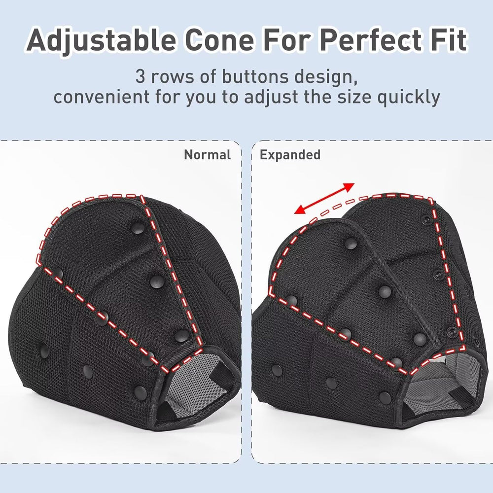 AuraPaw Cono plegable fácil de guardar durante el viaje.