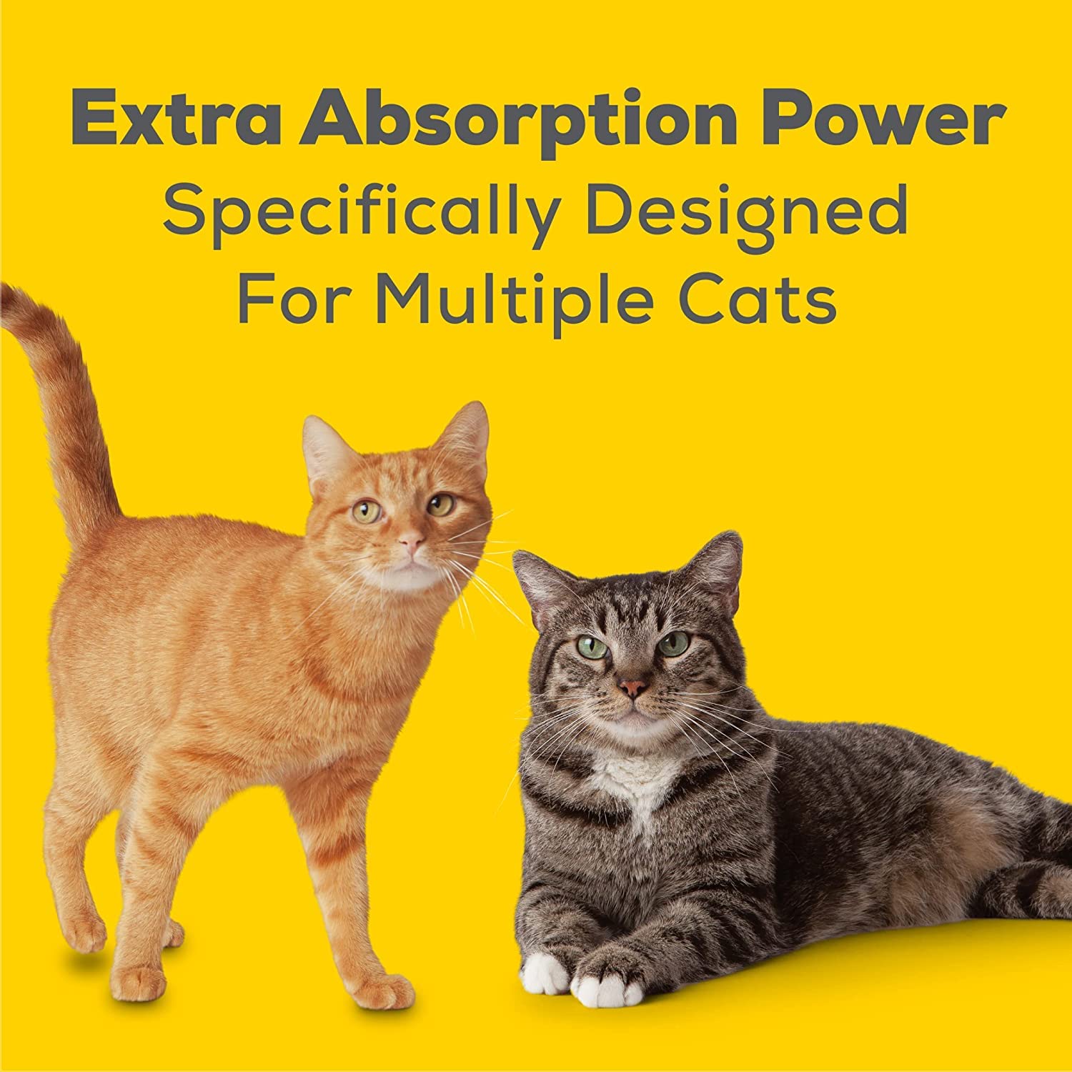 Juguete de hierba gatera Aurora Pet para estimular juego y exploración.
