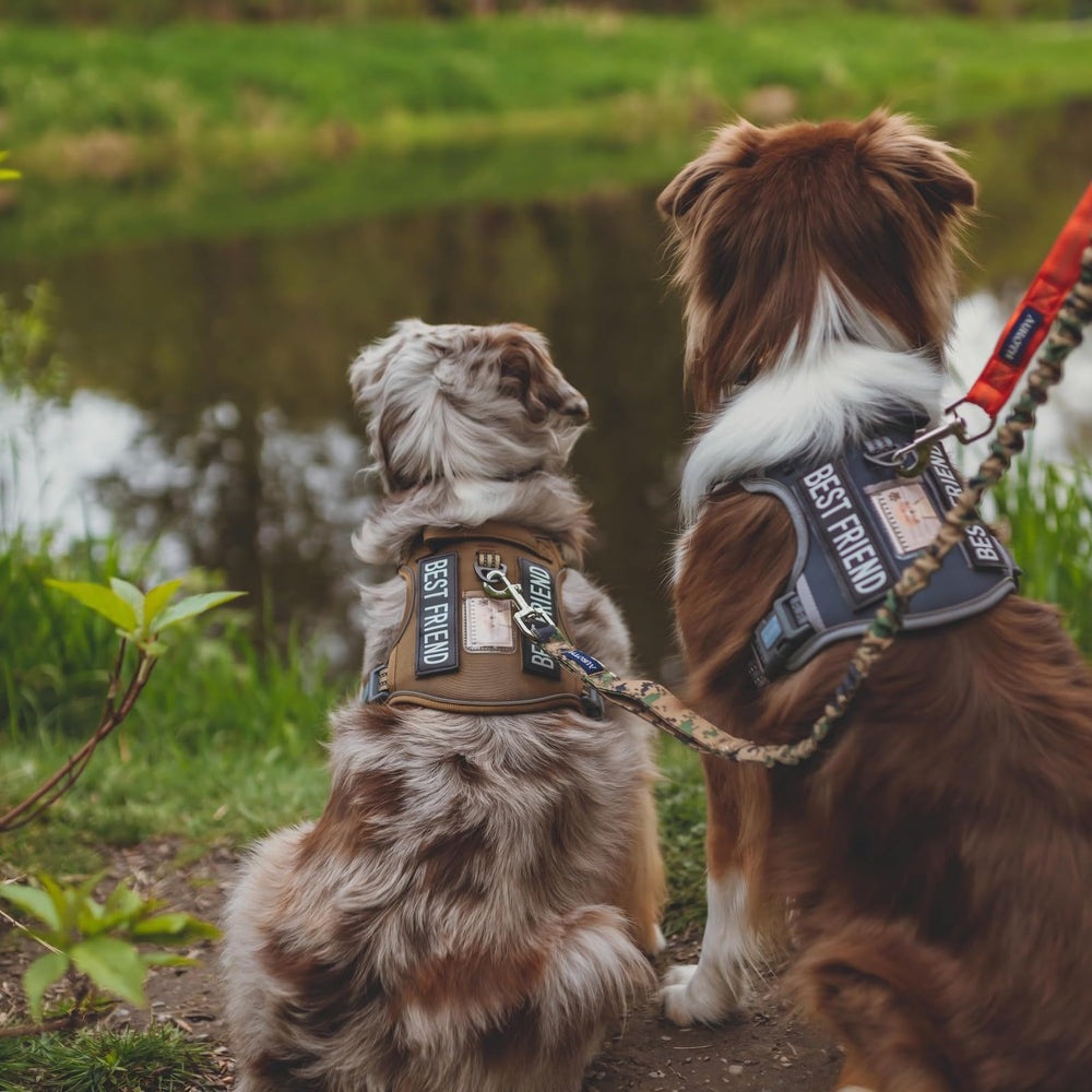 AUROTH arnés ajustable: cómodo ajuste para perros pequeños y medianos
